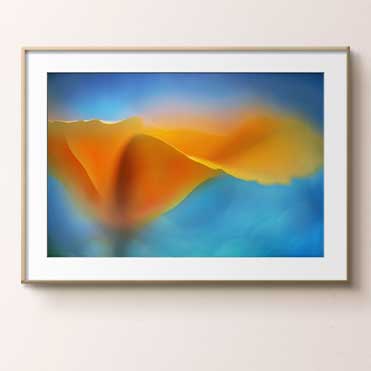 Shop Framed Art
