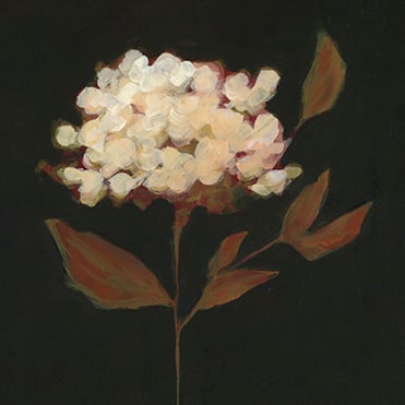 Discover More- Shop by Subject