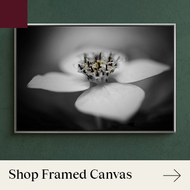 Shop by Framed Canvas Shop by Framed Canvas