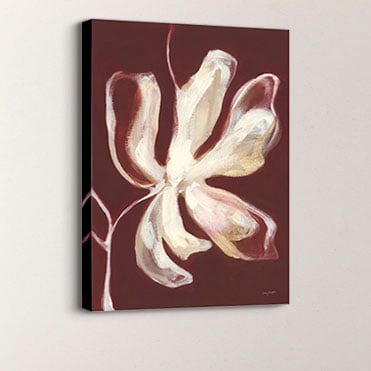 Discover More- Shop Canvas