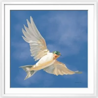 More to Love 7 - Shop Birds