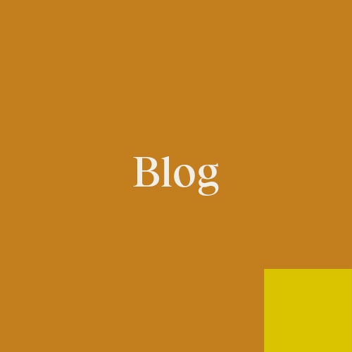 Blog