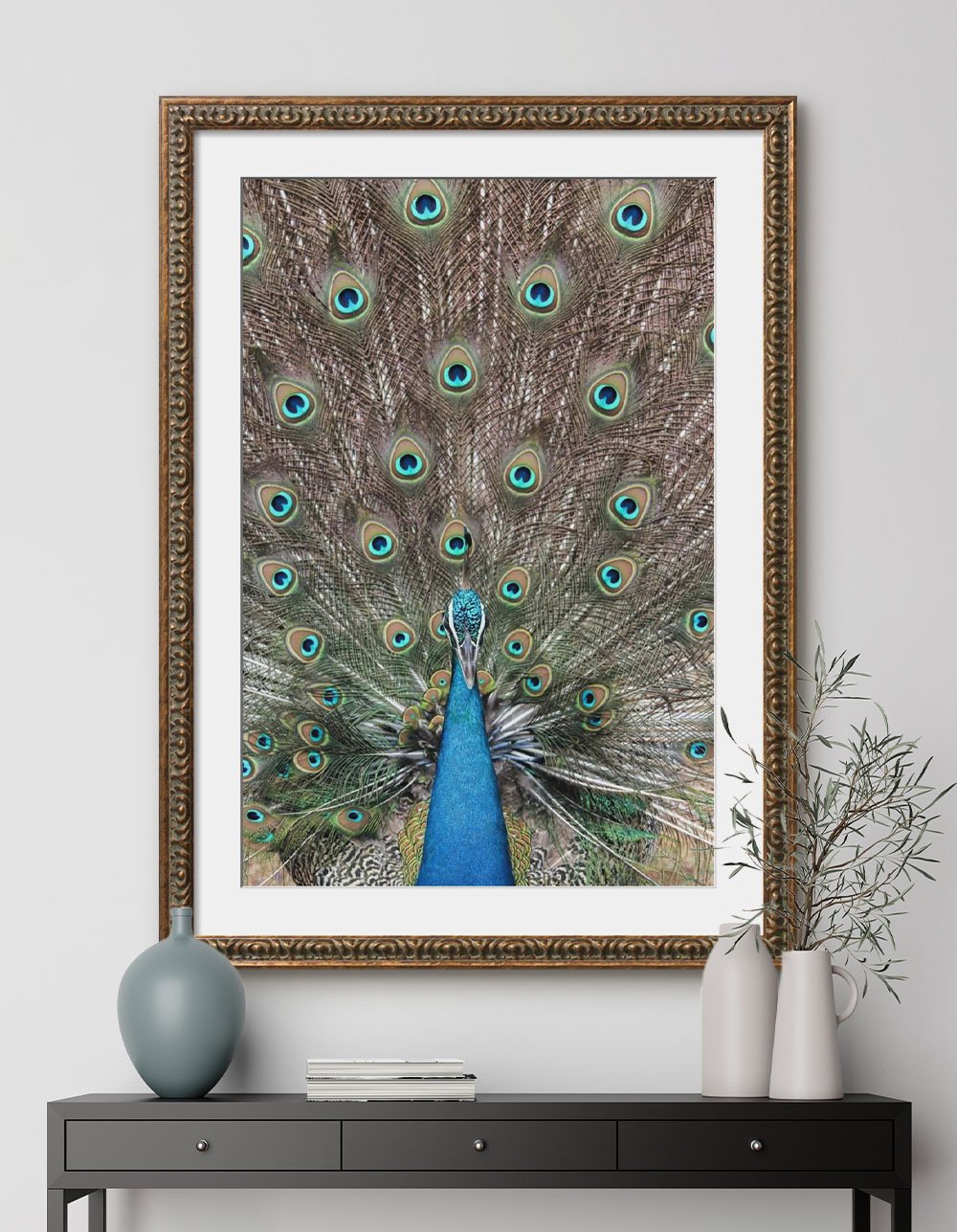 Trending- Shop Wildlife Photography