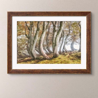 Discover More- Shop Framed Art