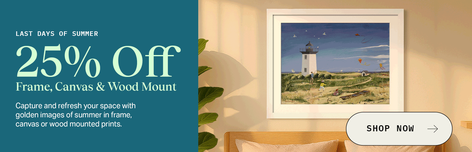 Promo Hero- 25% off Framed Wall Art