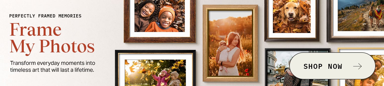 Banner - Frame My Photos