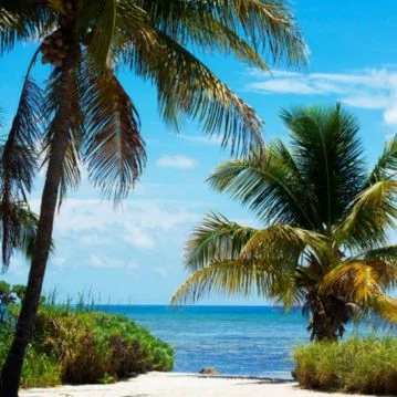 Collections 9 - Shop Beach