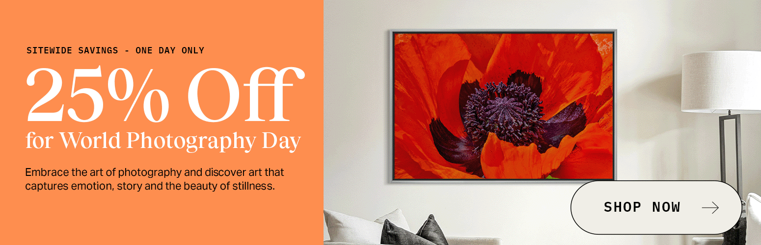 Sale Hero - 25% off SW - Shop Photographic Art Prints