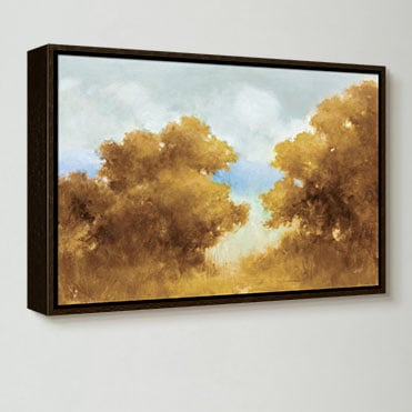 Discover More- Shop Framed Canvas
